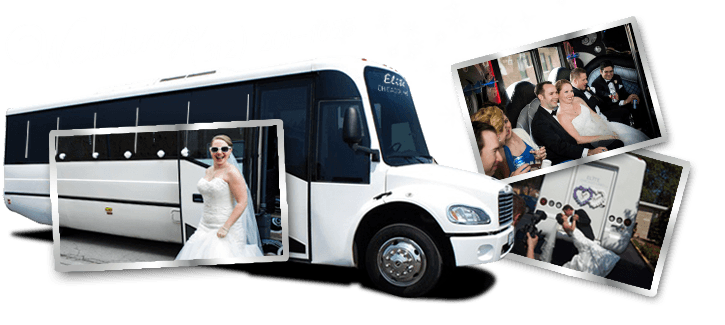 party bus weddings in Tinley Park style